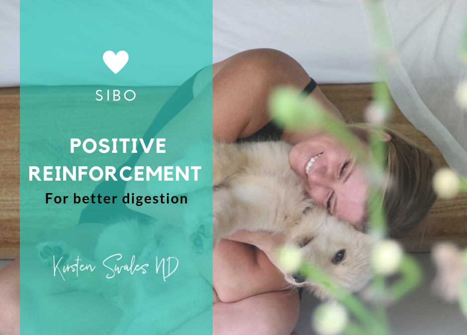Positive reinforcement for better digestion